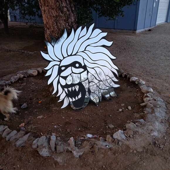 Lion mirror